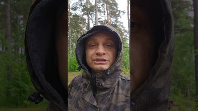 Отдых на Финском заливе