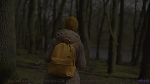 Ты почувствуешь, как что-то щелкает внутри после просмотра! - Mouse On Mars -- Podington Bear -- Hom