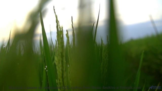 Это видео докажет, что природа лучше любого фильма - Westbreeze -- Hiro -- Hiro
