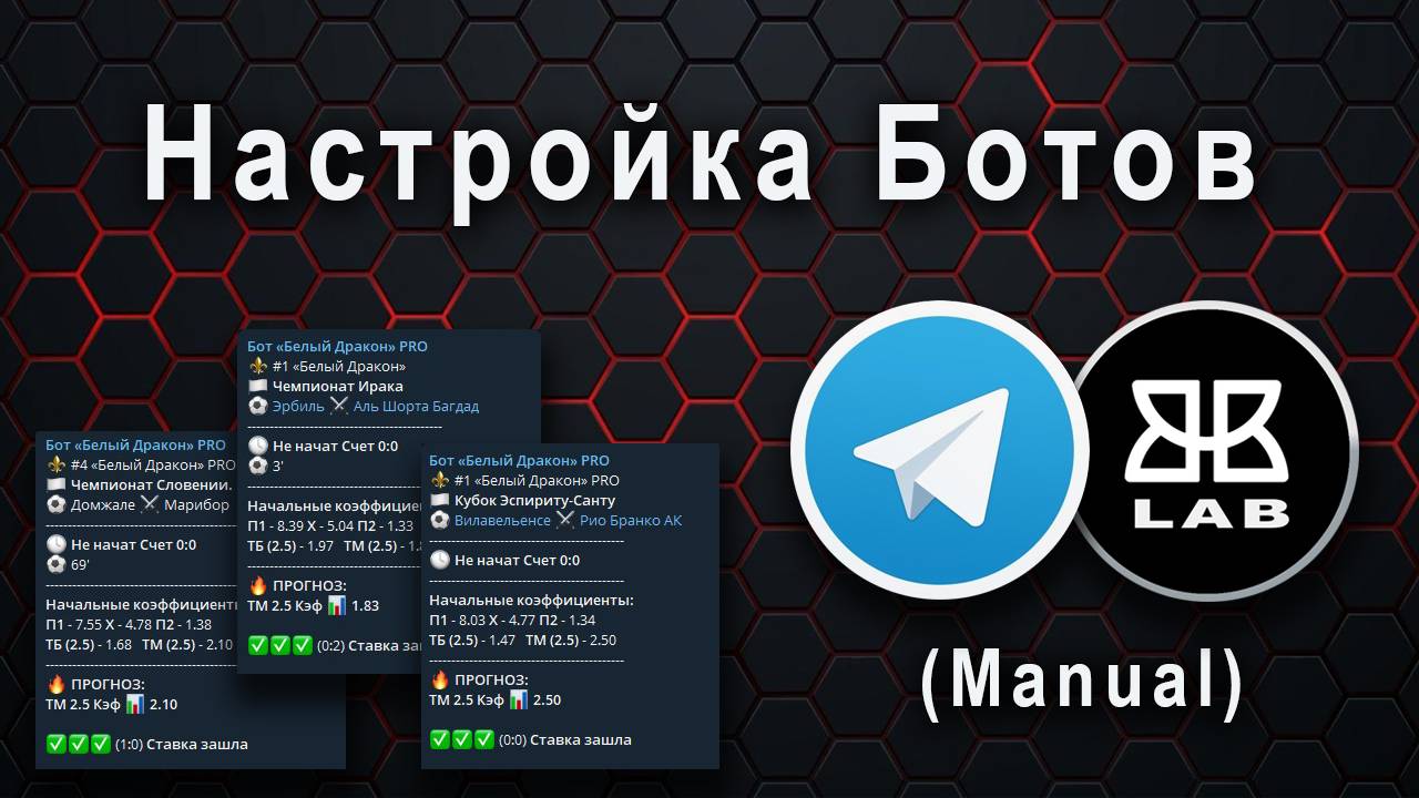 Как настроить бота заказанного в Bet Bot Lab.  Видеоинструкция.