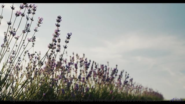 Природные пейзажи в 16K - ваши глаза не готовы к такому! - I Wont Let You Down -- Derek Clegg -- The