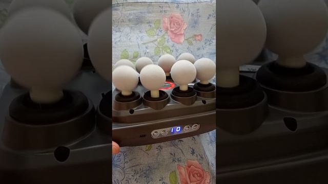 ПЕРКУССИОННЫЙ МАССАЖЁР