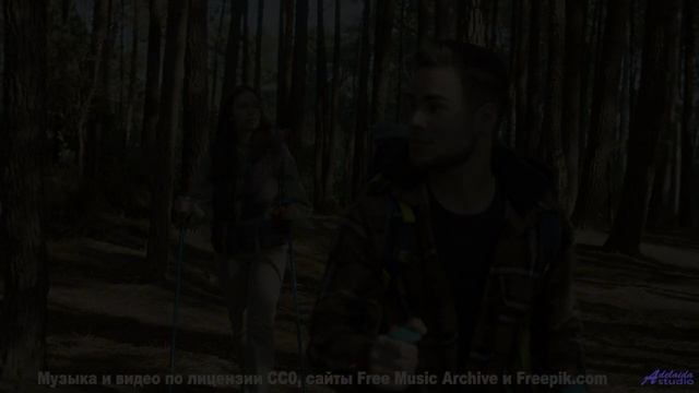 Этот трек записан в заброшенном лесу. - Counting Sheep -- Baners -- Tanquillity and Trepidation