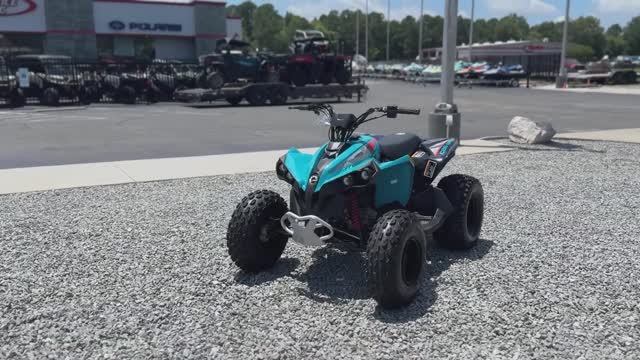 Детский квадроцикл BRP renegade 110 2025