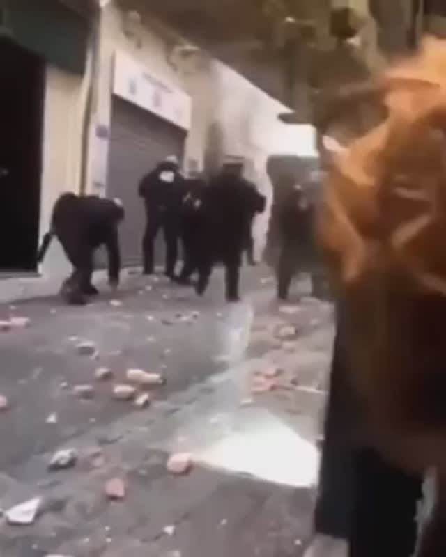европолиДЗаи кидают камни