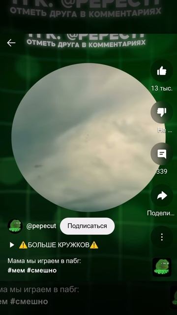 Мы с Гришей играем в папг