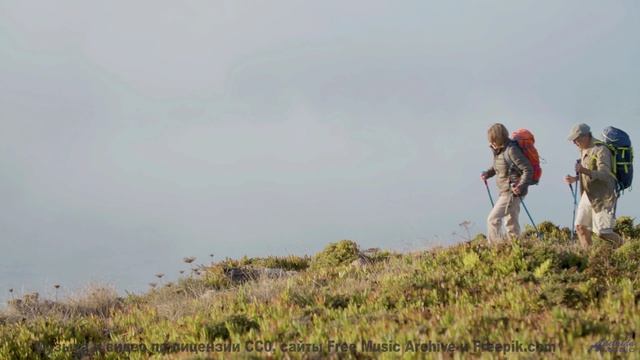 Музыка ведёт сквозь пространство сильнее любого полёта - Cara roja (XL) -- opo -- Estudios Indigenif