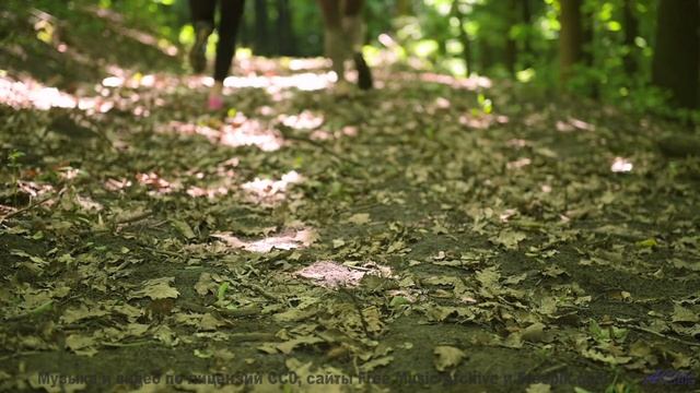 Эта мелодия написана вашей ДНК - услышьте код жизни! - FunkBox -- Ketsa -- Through to Fall