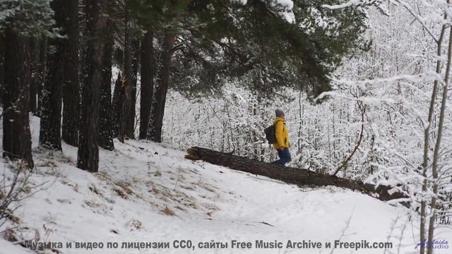 Музыка, которая звучит как голос океана! - Modern Compersion -- One Man Book -- Potlatch