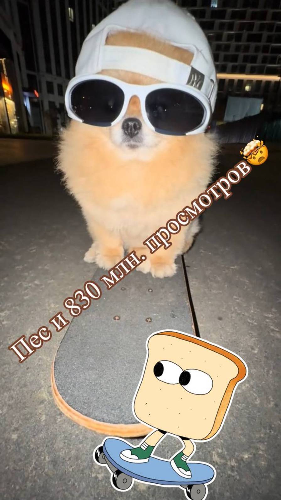 Собака продает тетрис