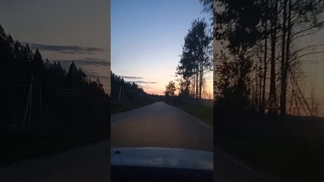 Белая ночь на болоте в Прикамье