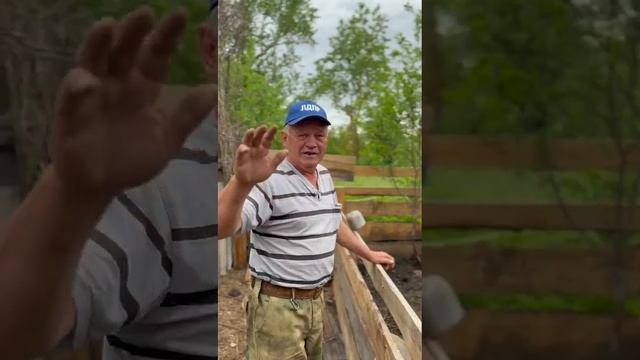 в деревне, поросята, у дюхи