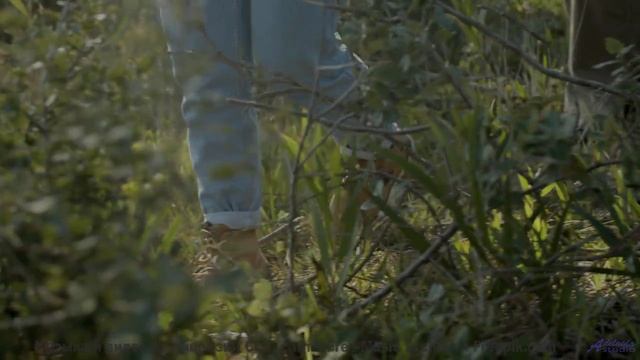 Кадры, обработанные алгоритмами будущего - ваш мозг не поверит! - Origins -- Lex Villena -- Unnamed