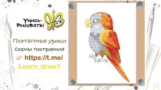 как нарисовать папугая