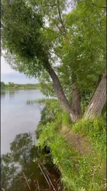 позитивчик🎼🌱