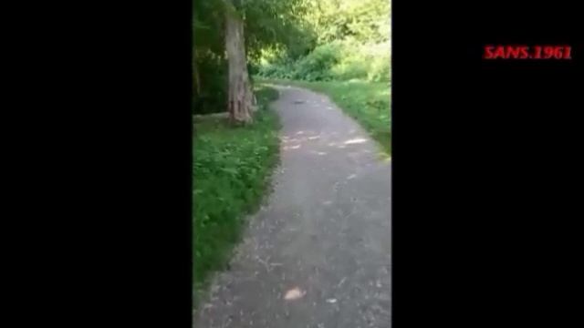 Когда за + 30..... SANS.1961  19.06.2025