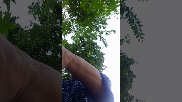 КЕКСЫ ПО ДОРОГЕ поесть!!!!