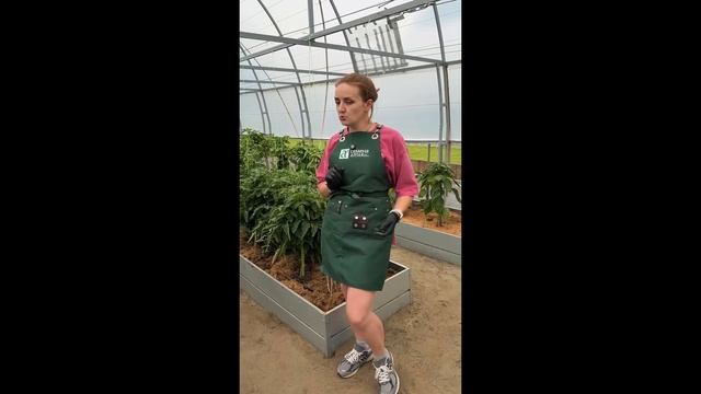 🤫А вы знали это про условия роста растений? 🌸Семена Алтая