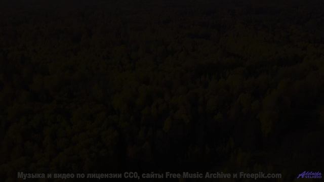 Почему духовные лидеры запрещают эту музыку - Happy Dance -- Cedric Galke -- Unnamed album