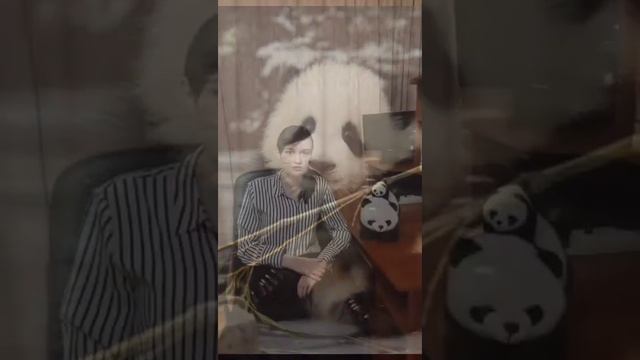 Почему панда имеет чёрно белый окрас?