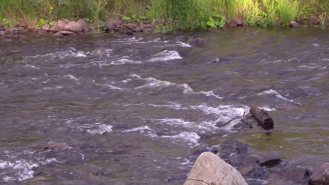 Где и как серовчане предпочитают отдыхать летом?