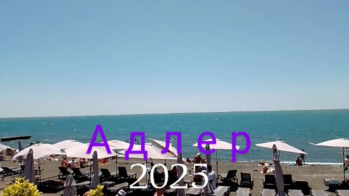 Адлер Сочи 2025/Набережная/Цены/Мандарин/Робот в магазине