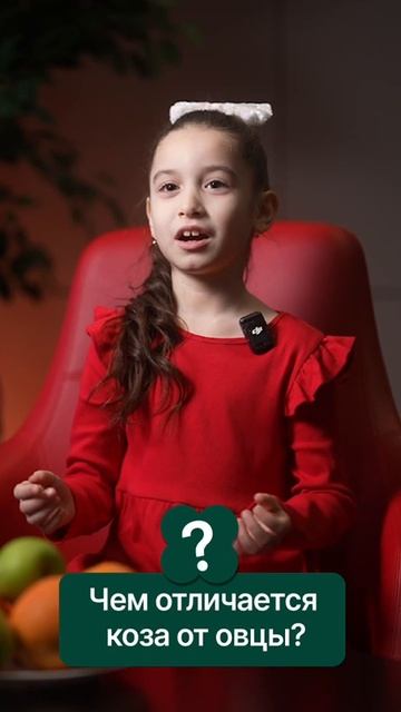 Чем отличается коза от овцы?