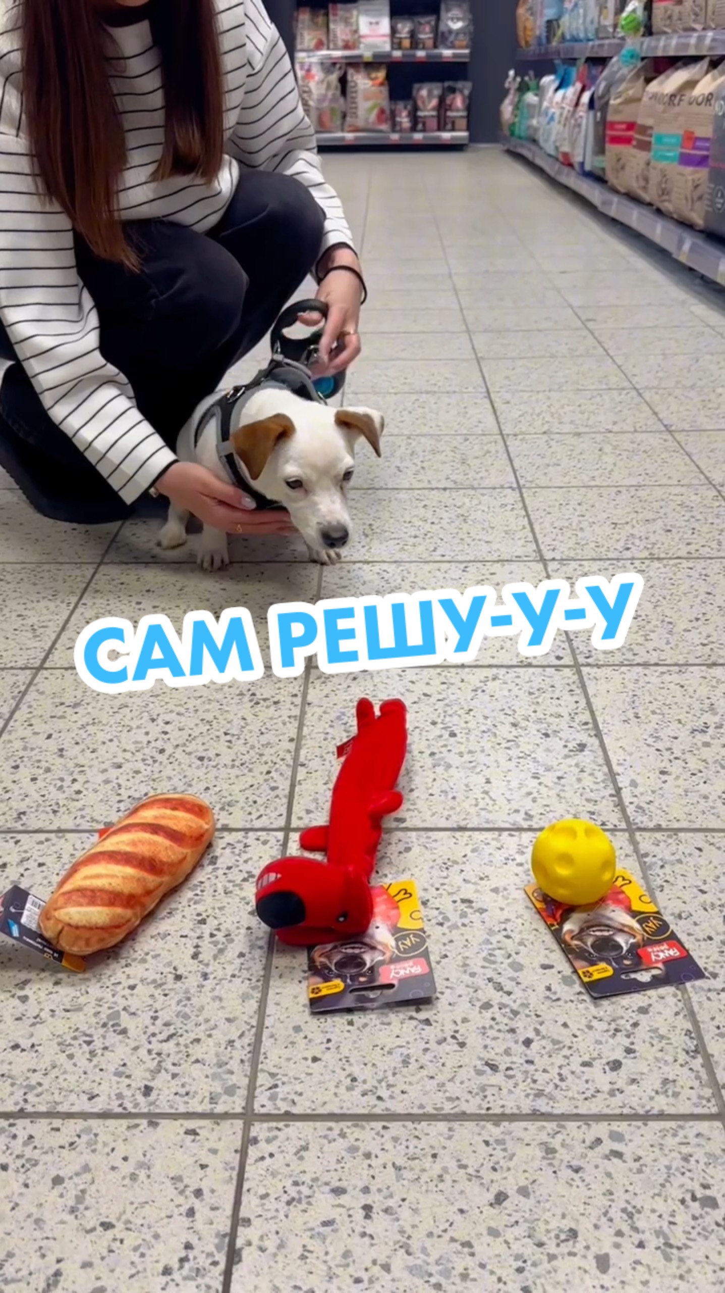 🐶 В «Ленте Зоомаркет» питомцы могут сами выбирать игрушки!