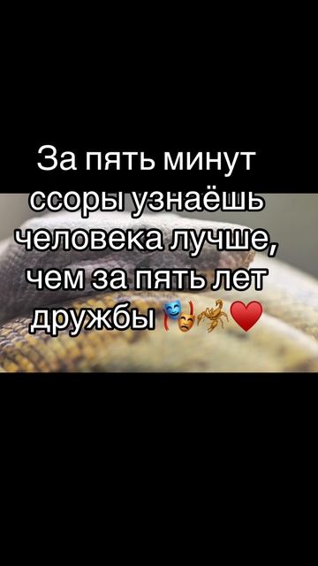 Мудрость
