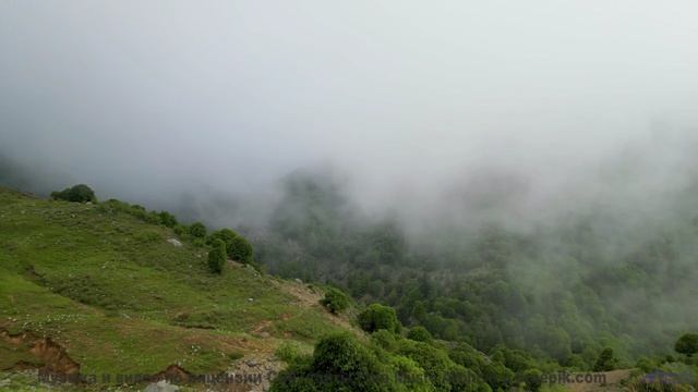Закат, открытая дорога и трек, который вы будете помнить вечно - Under A Canopy -- Kirk Osamayo -- S