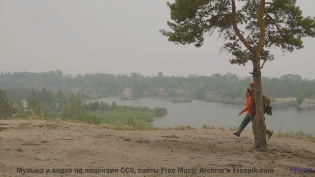 Видео, созданное нейросетью - отличите ли вы его от реальности - Moods for Stacey -- Tri-Tachyon --