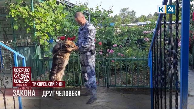 На стороне закона. 20.06.2025