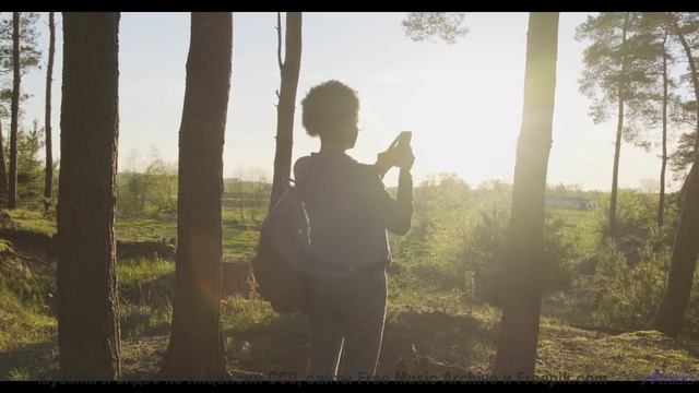 Леса звучат как песня, которую ждали всю жизнь - It Cant Be Love Unless It Hurts -- Tracyanne And Da