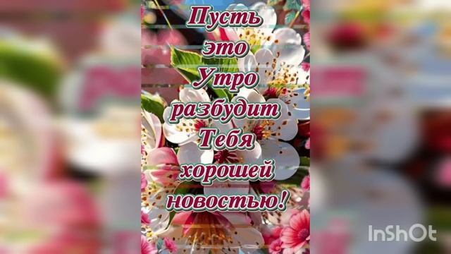 1000090917.mp4