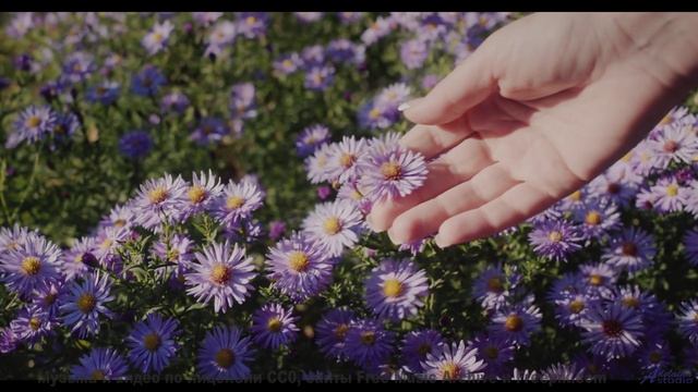 Эта музыка заставит вас влюбиться - проверьте сами! - A Vital Piece of Music for All Your Soundtrack