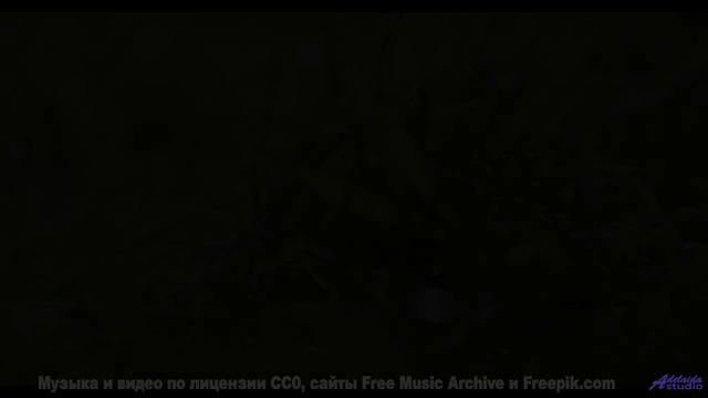 Музыка пробирает до мурашек вместе с этими кадрами - Energy -- Scott Holmes Music -- Rock Background
