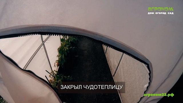 В чем секрет богатого урожая