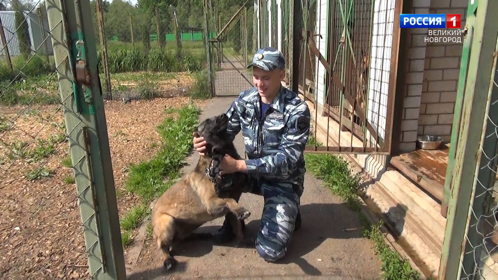 ГТРК СЛАВИЯ Дежурная часть 21.06.25