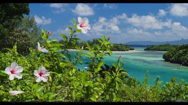 Этот клип докажет - Земля прекраснее любых слов - Carefree Morning -- Scott Holmes Music -- Happy Ba