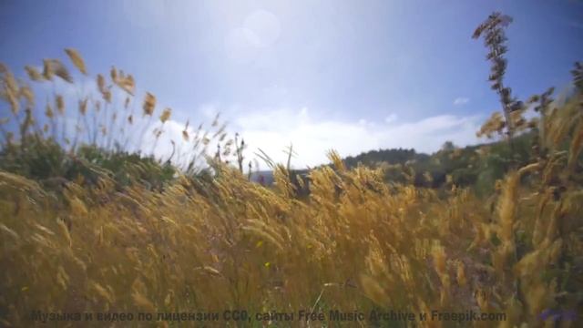 Эта мелодия сделает виды настолько ярче, что ахнешь - Lifeforce 9 -- Mr.ruiZ -- Winter Haze, Summer