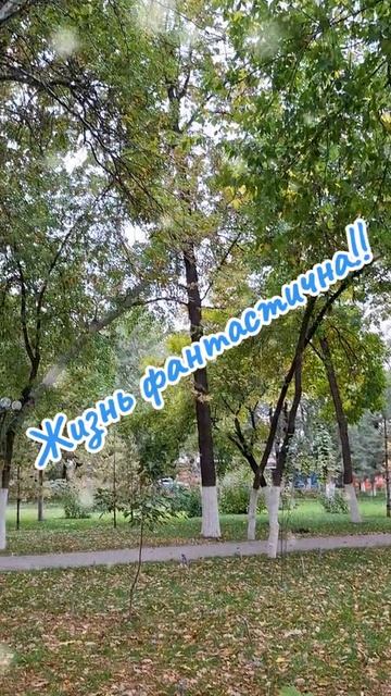 Парк