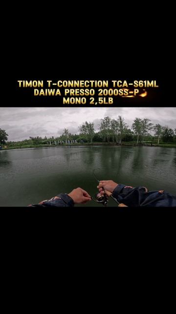 Timon T-Connection Area TCA-S61ML с монолеской 2,5lb
