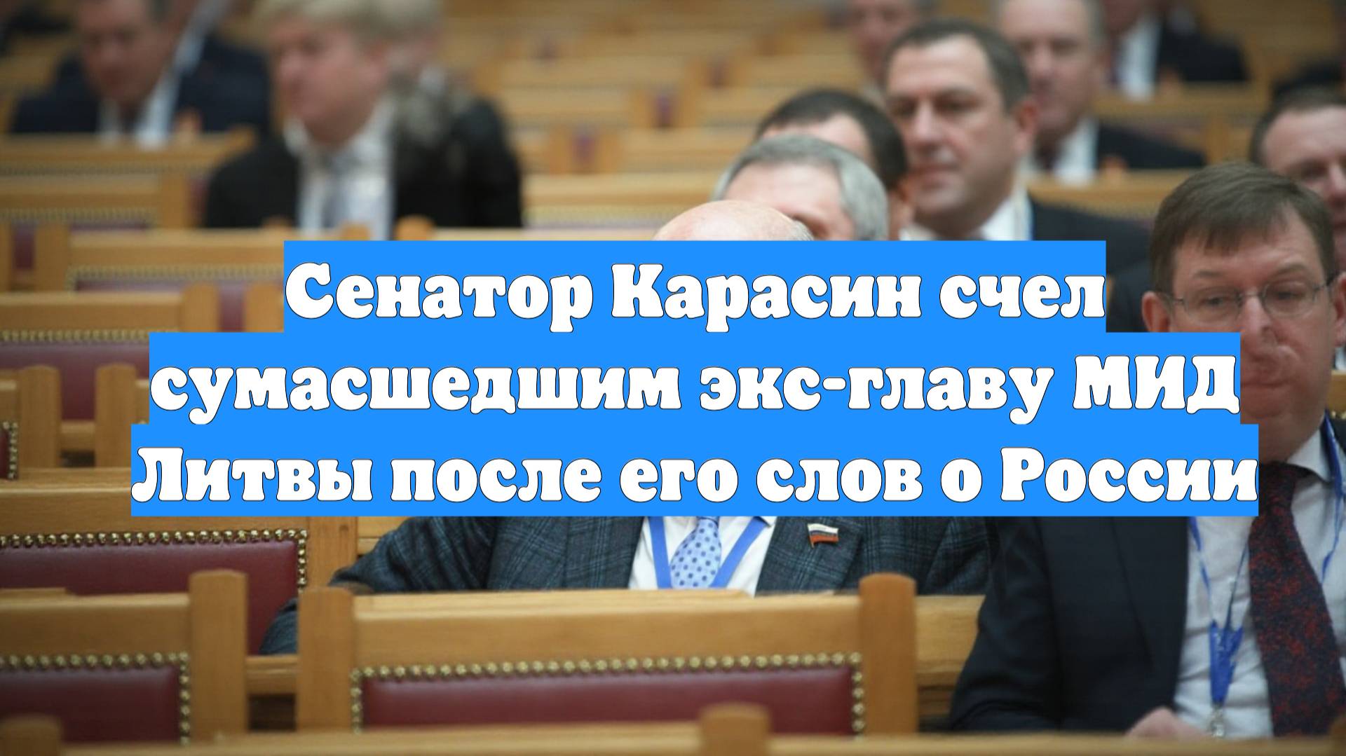 Сенатор Карасин счел сумасшедшим экс-главу МИД Литвы после его слов о России