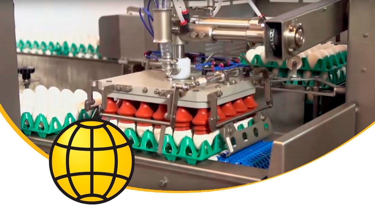 Egg Loader Machine - ✔️ Egg Breaking ✔️ Egg Grading - FlexLoader 5-6 with Destacker  - SANOVO