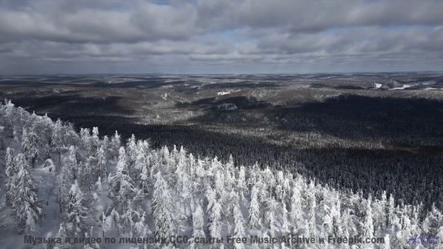 Природа, увиденная глазами искусственного сверхразума - новый взгляд на реальность! - Поезд Обнинск-