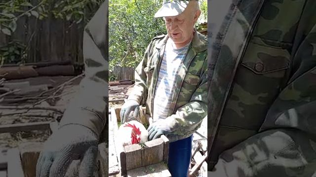 развлечения на пенсии2.mp4
