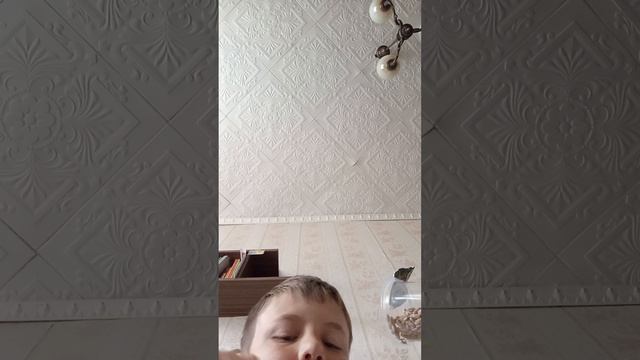 Обычная жизнь школьника в реальной жизни часть 1