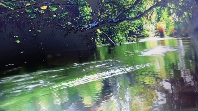 внутренний маяк :как не потерять себя во время шторма жизни