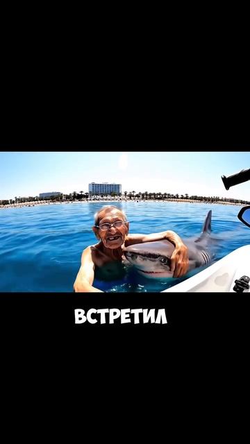 Какая удача встретил дельфина