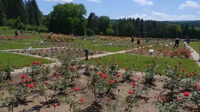 Кисловодск: жизнь и отдых в уникальном городе


Южанин

 23 июн. 2024 г